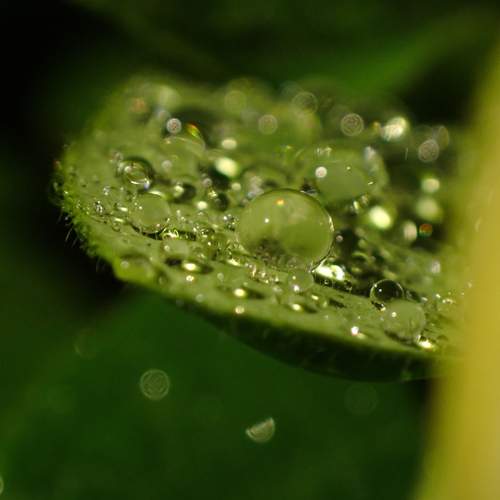 Photo #12606467