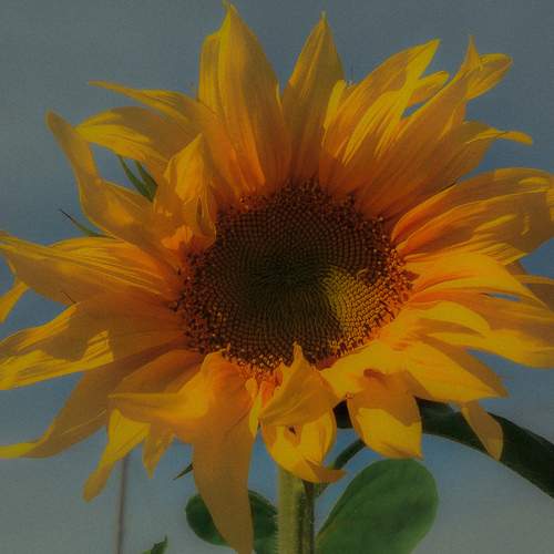 Photo #12606909