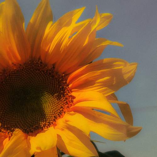 Photo #12606910