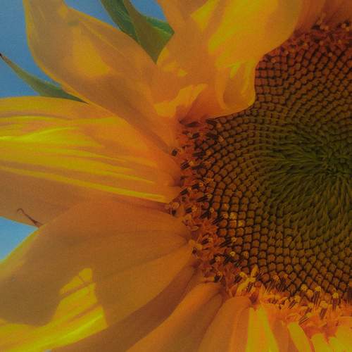 Photo #12606911