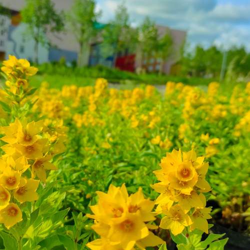 Photo #12607184