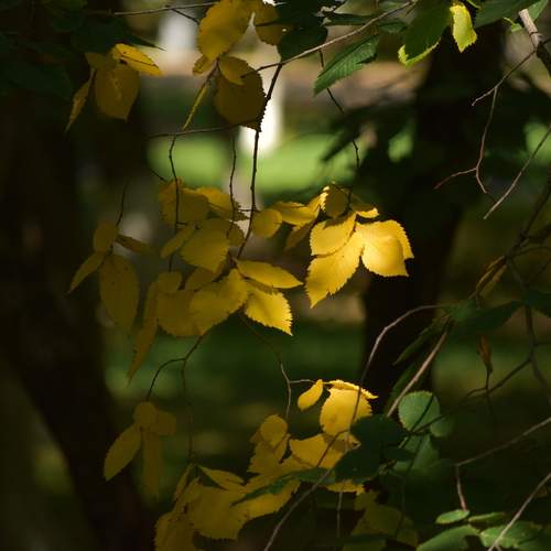 Photo #12607524