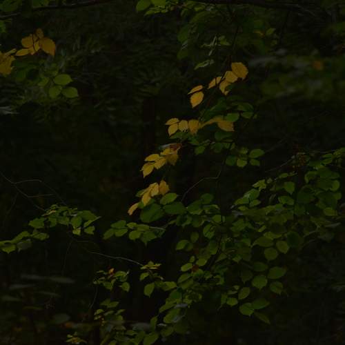 Photo #12607526