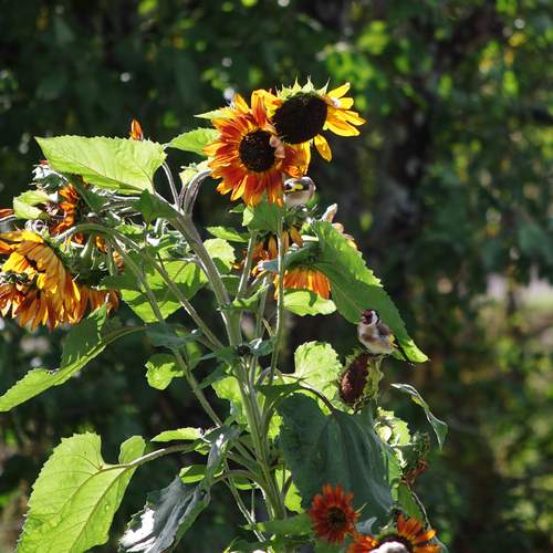 Photo #12607608