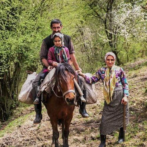 Photo #12607672