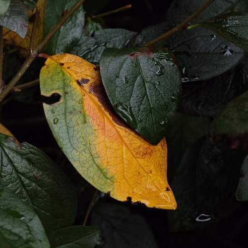 Photo #12607781