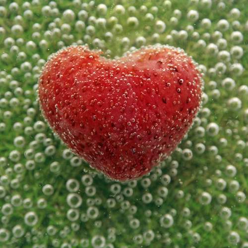 Photo #12607887