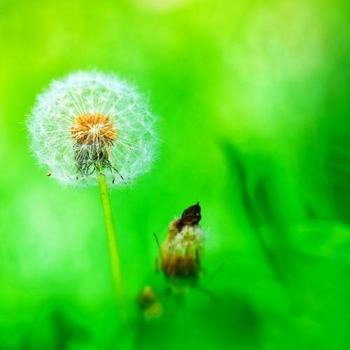 Photo #12608113