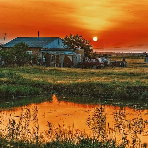 Photo #12608223