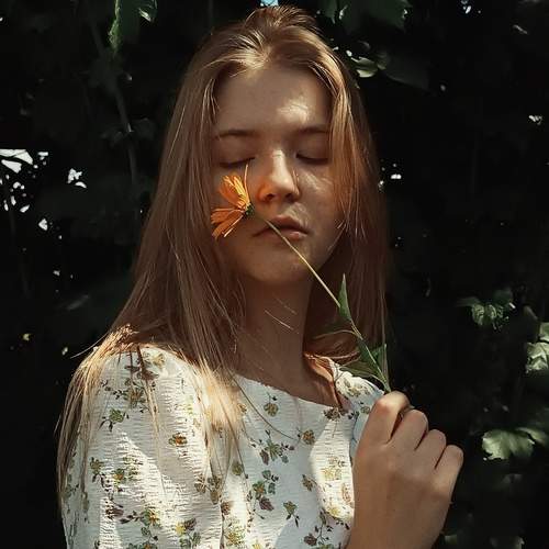Photo #12608234