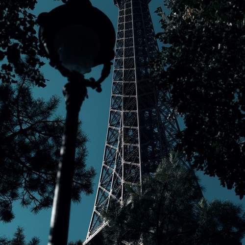 Photo #12608265
