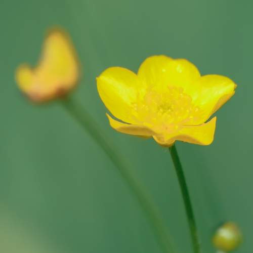 Photo #12608316