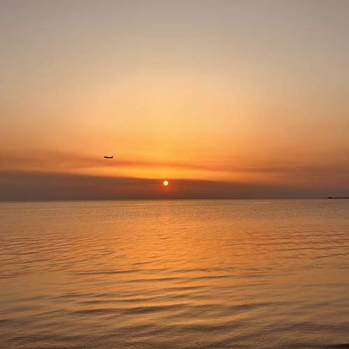 Photo #12608331