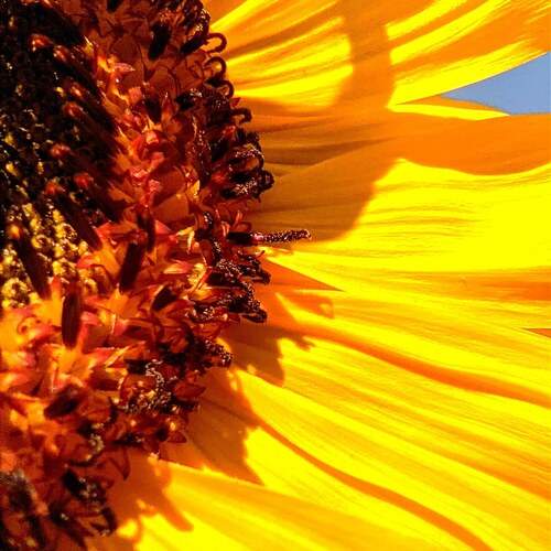 Photo #12608388