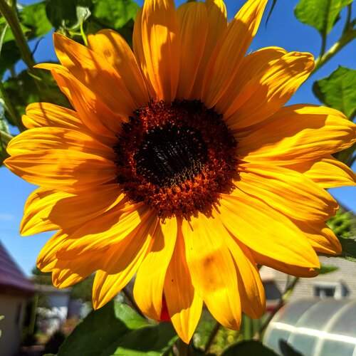 Photo #12608389