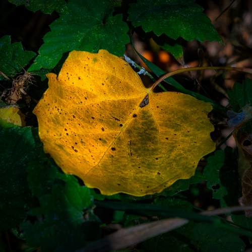 Photo #12608575