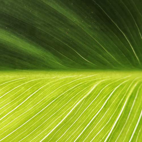 Photo #12608590