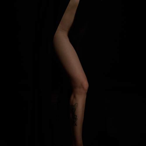 Photo #12608737