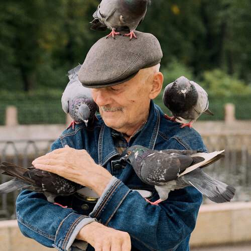 Photo #12608954