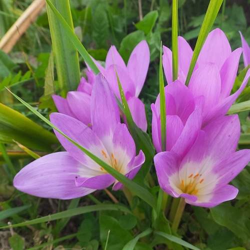 Photo #12608989