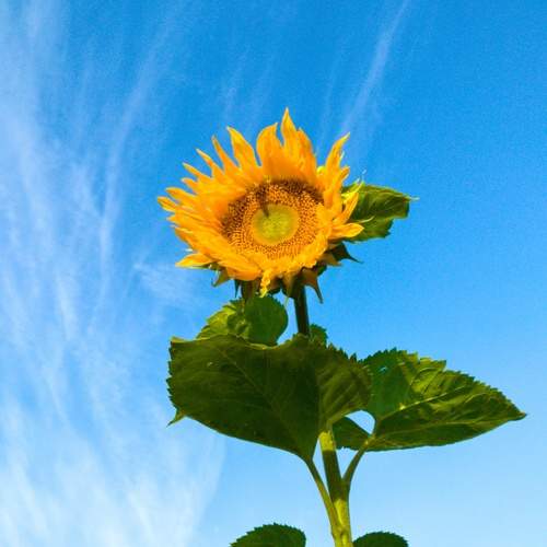 Photo #12608991