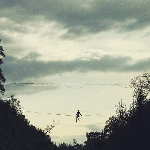 Photo #12608995