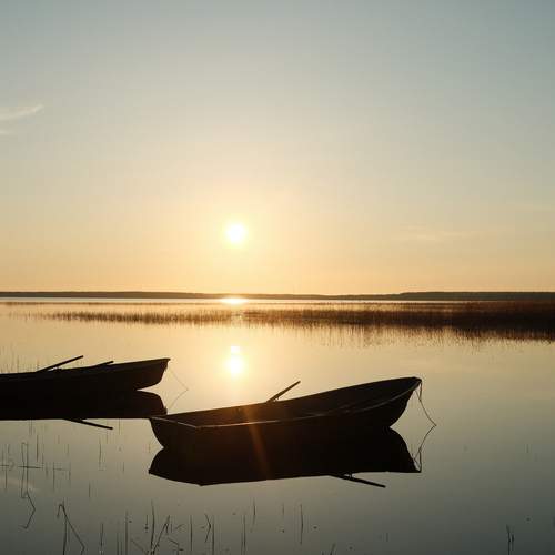 Photo #12609010