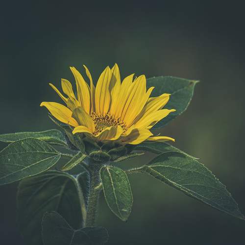 Photo #12609063