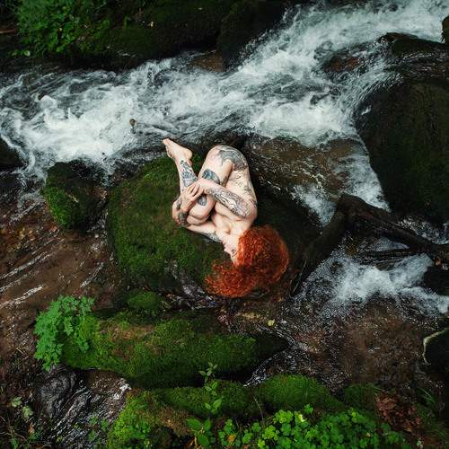 Photo #12609190
