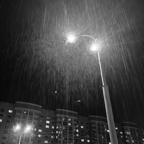 Photo #12609542