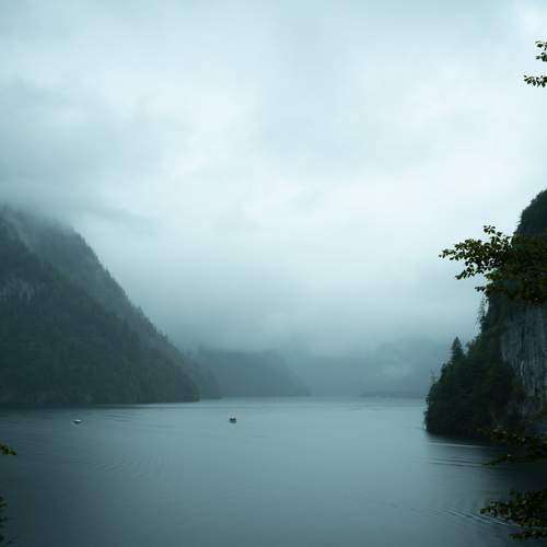 Photo #12609554