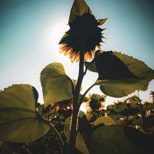 Photo #12609606