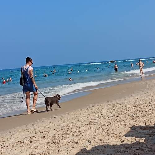 Photo #12609615