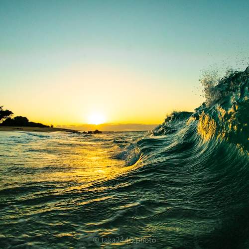 Photo #12609640
