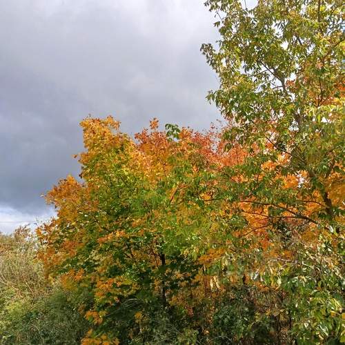 Photo #12609728