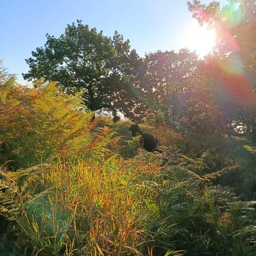 Photo #12609731