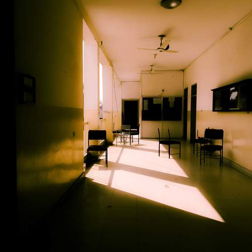 Photo #12609850