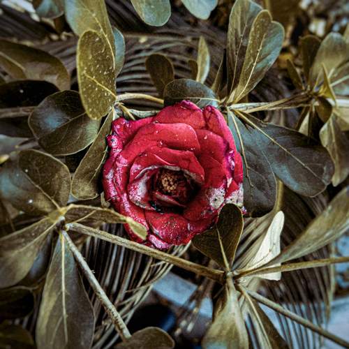 Photo #12609859
