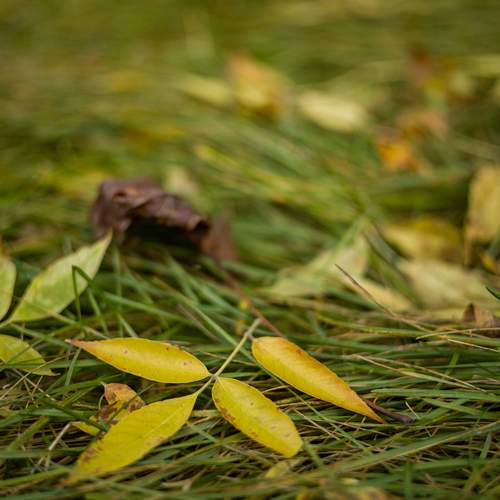 Photo #12610100