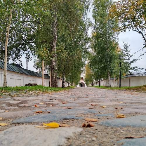 Photo #12610316