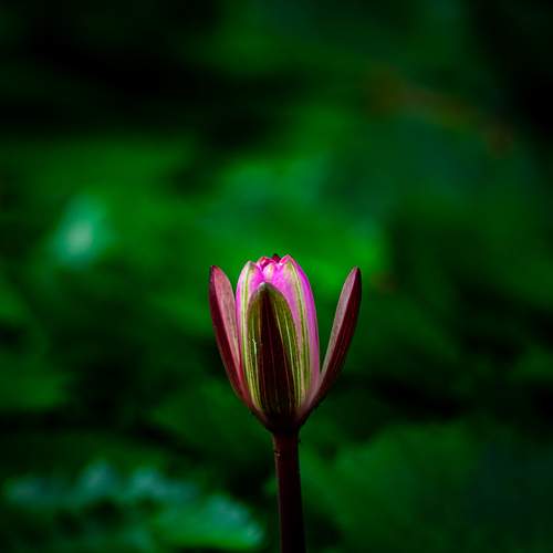 Photo #12610547