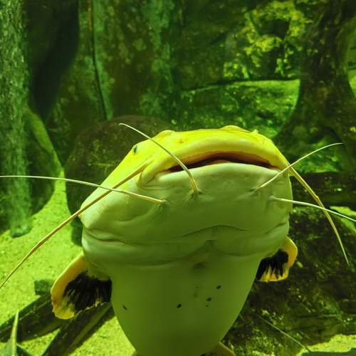 Photo #12610555