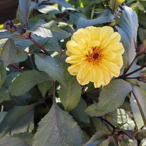 Photo #12610556
