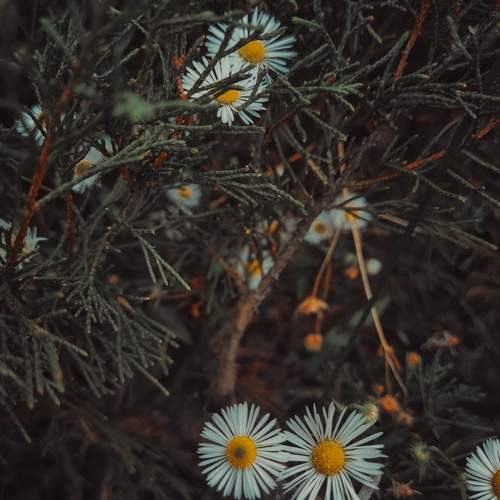 Photo #12610791