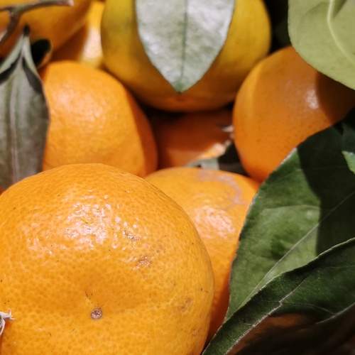 Photo #12610960