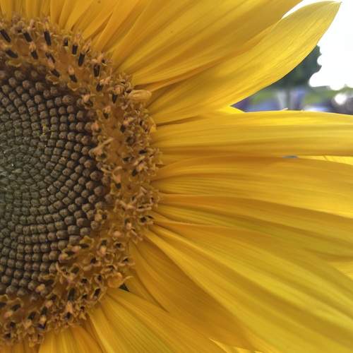 Photo #12611379