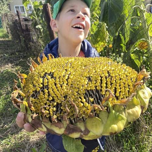 Photo #12611382