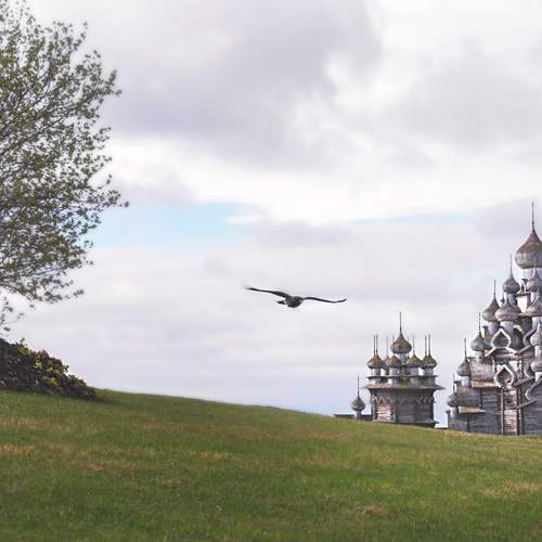 Photo #12611509