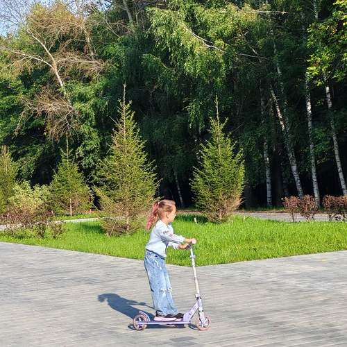 Photo #12612182