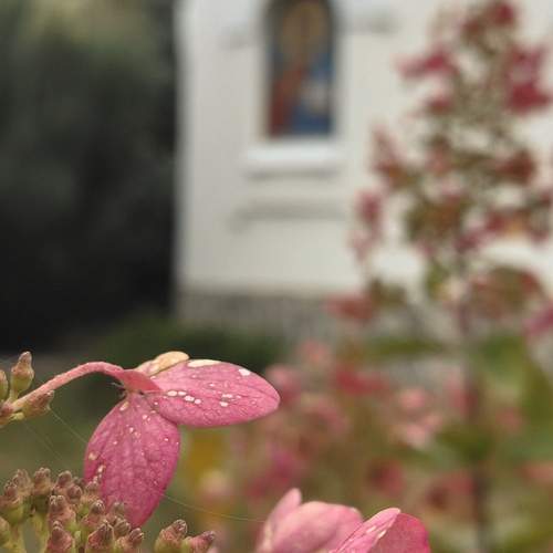 Photo #12612206